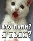 3me9