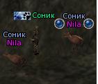 SoNiK